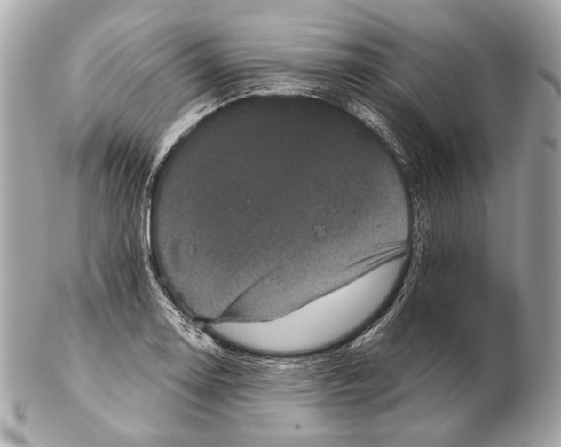 X0000102401130200808291439