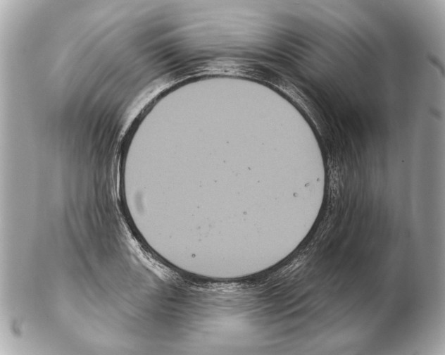 X0000102401131200808291439
