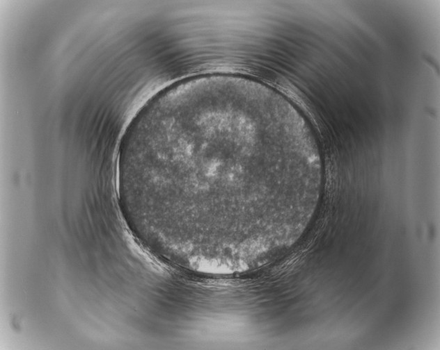 X0000102401132200808291439