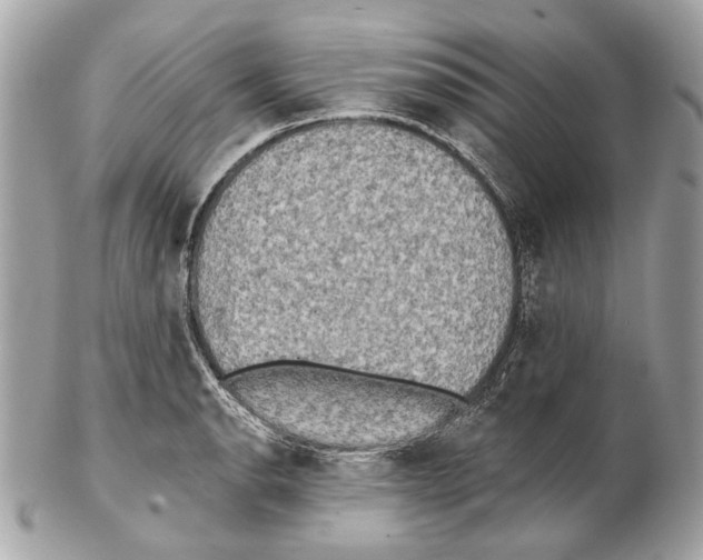 X0000102401134200808291439