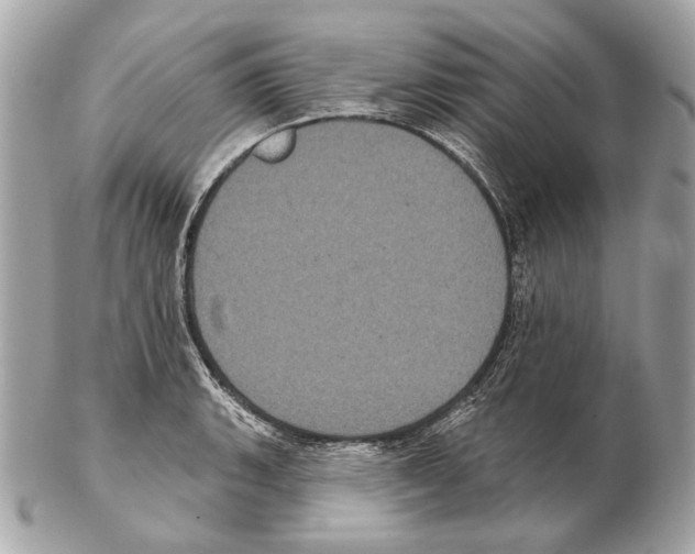 X0000102401135200808291439