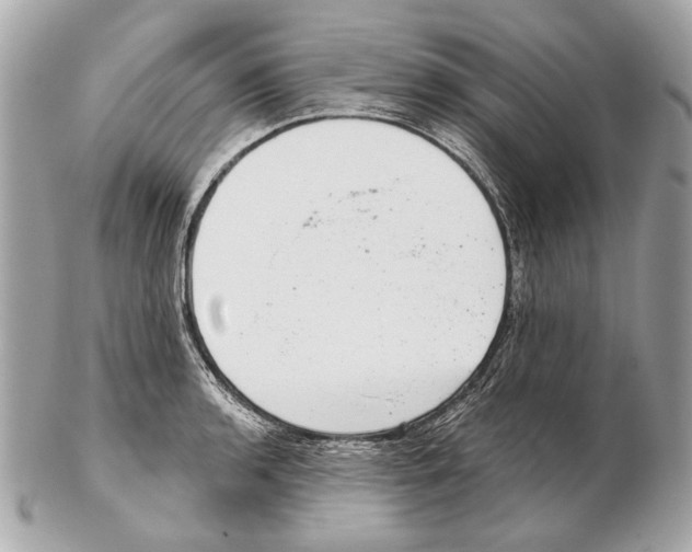 X0000102401136200808291439