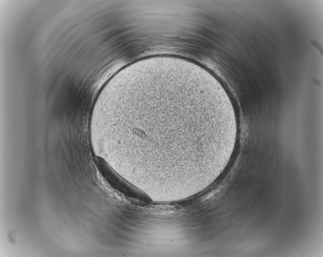 X0000102401137200808291439