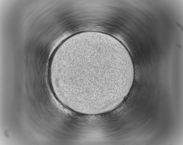 X0000102401139200808291439