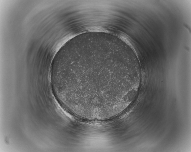 X0000102401141200808291439