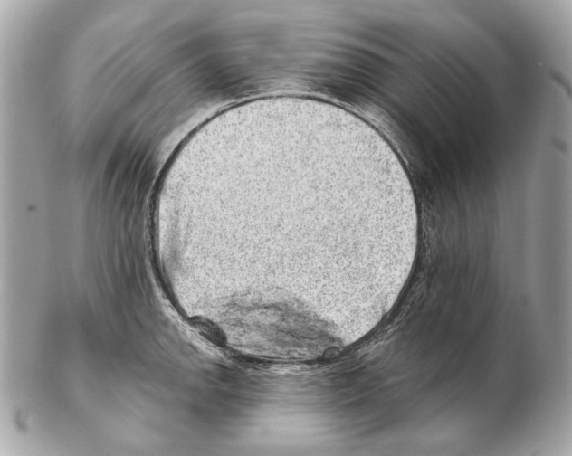 X0000102401142200808291439