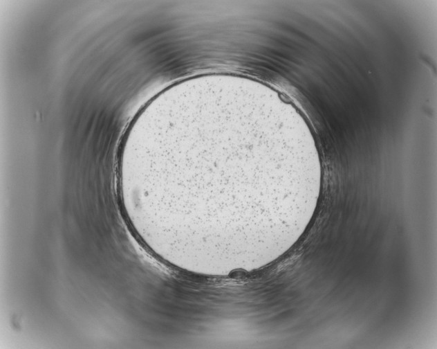 X0000102401143200808291439
