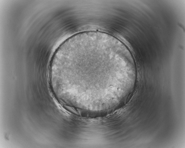 X0000102401144200808291440