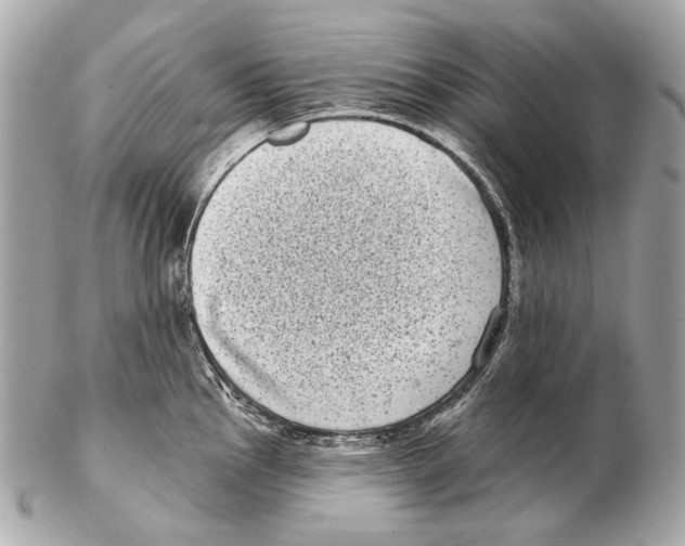 X0000102401145200808291440