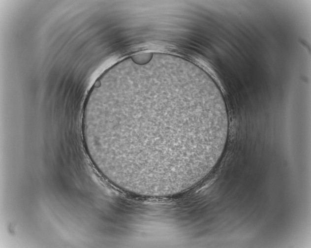 X0000102401146200808291440