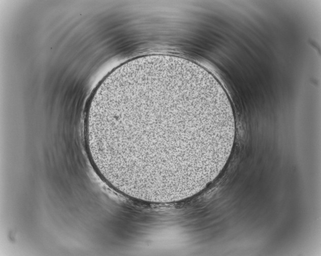 X0000102401147200808291440