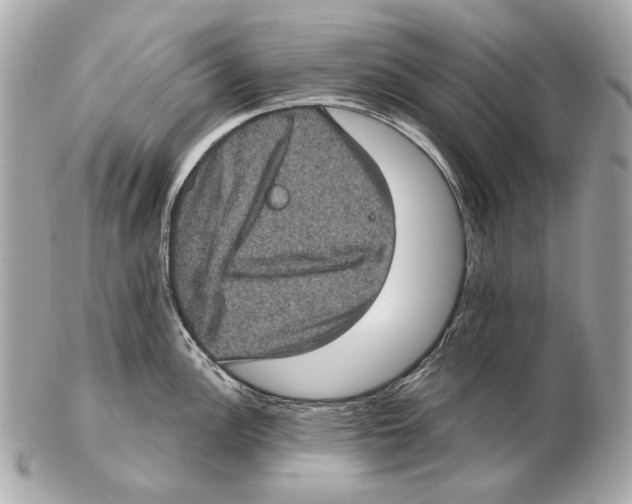 X0000102401148200808291440