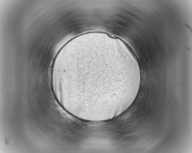 X0000102401151200808291440