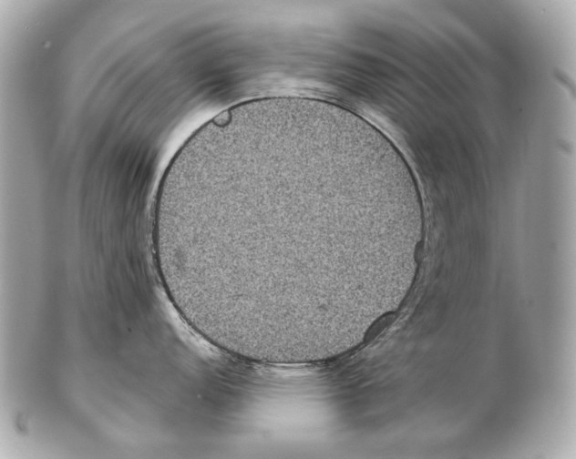 X0000102401152200808291440