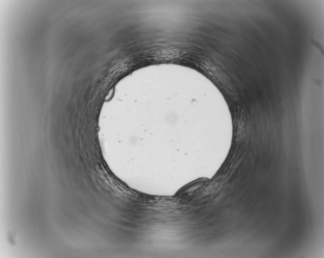 X0000102401153200808291439