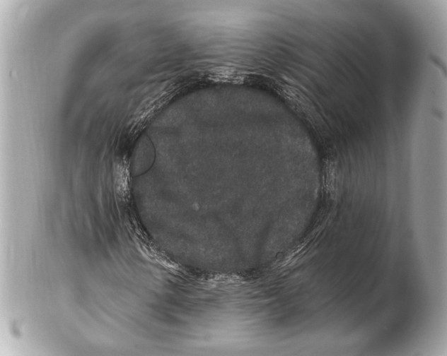 X0000102401154200808291439