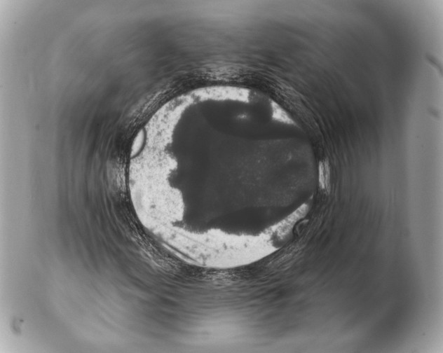 X0000102401155200808291439