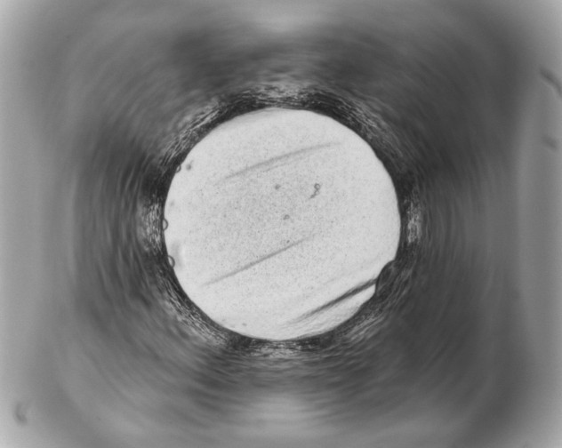 X0000102401156200808291439