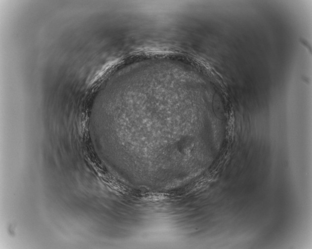 X0000102401157200808291439
