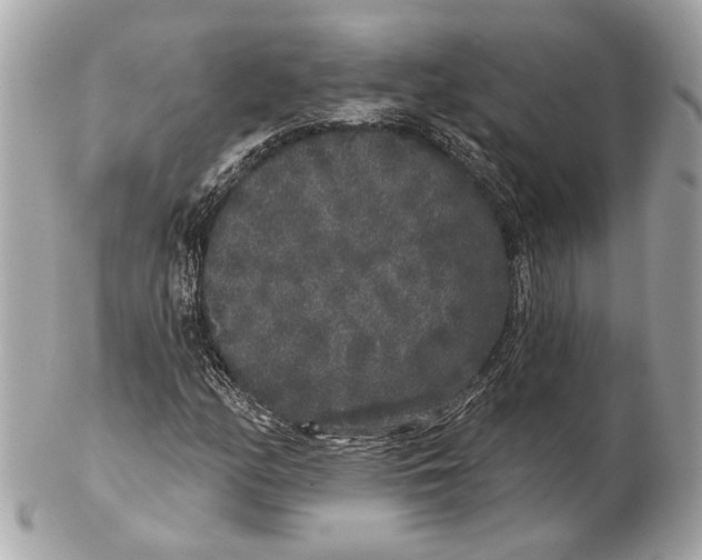 X0000102401158200808291439