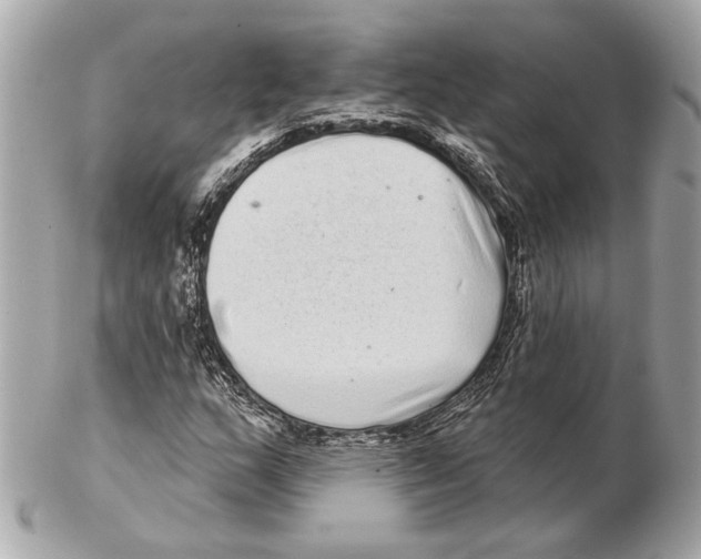 X0000102401159200808291439