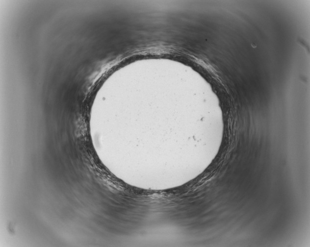X0000102401160200808291439