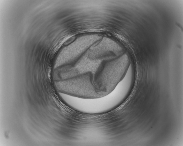 X0000102401161200808291439