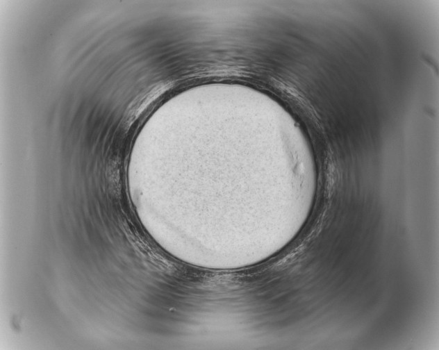 X0000102401162200808291439