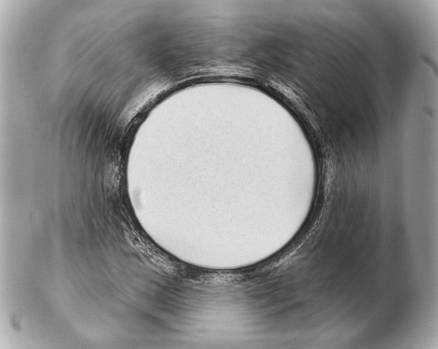 X0000102401163200808291439
