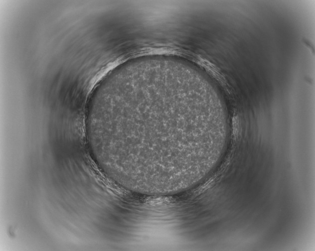 X0000102401165200808291439