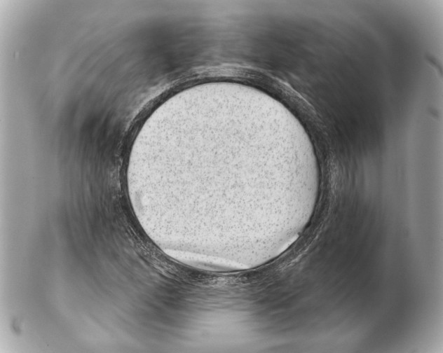 X0000102401166200808291439