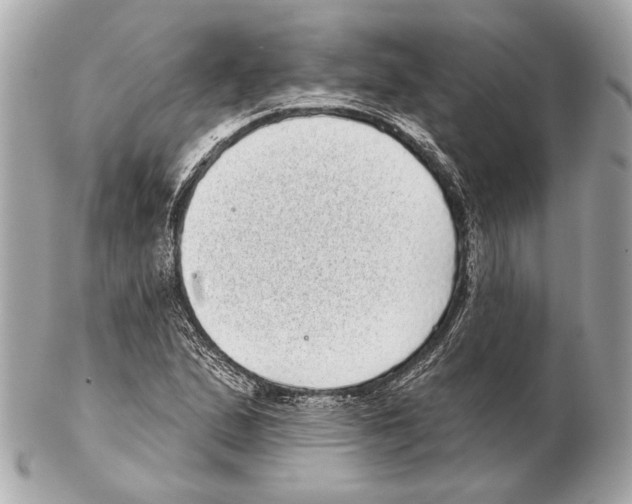 X0000102401167200808291439
