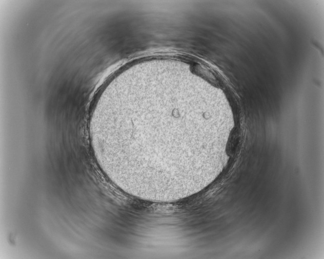 X0000102401168200808291439