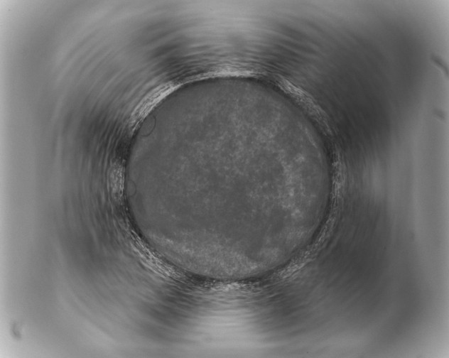 X0000102401169200808291439