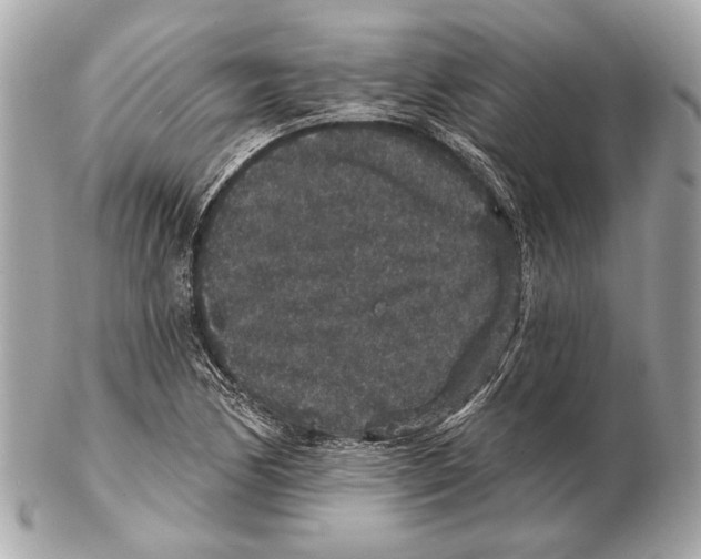 X0000102401170200808291439