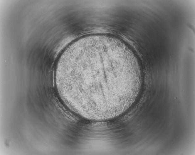 X0000102401171200808291439