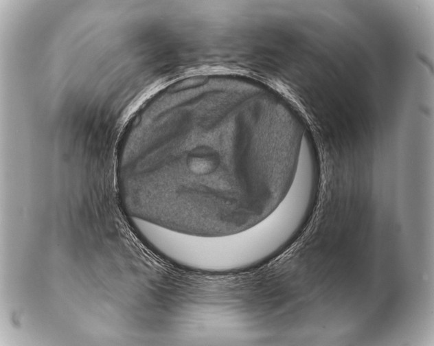 X0000102401173200808291439