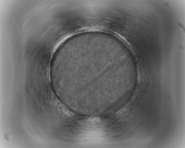 X0000102401174200808291439