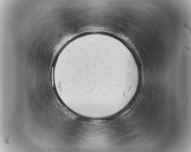 X0000102401175200808291439
