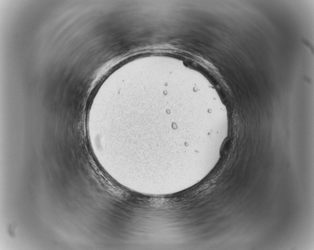 X0000102401176200808291439