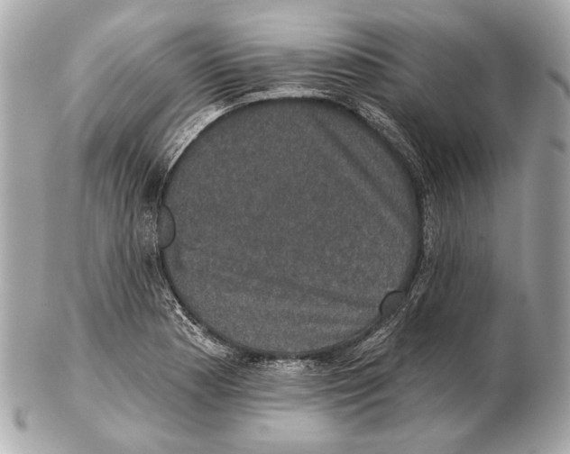 X0000102401177200808291439