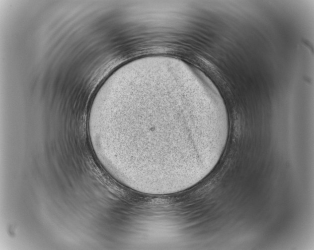X0000102401178200808291439