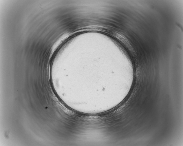 X0000102401180200808291439