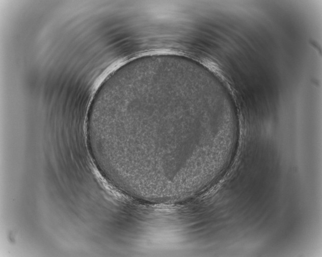 X0000102401181200808291439