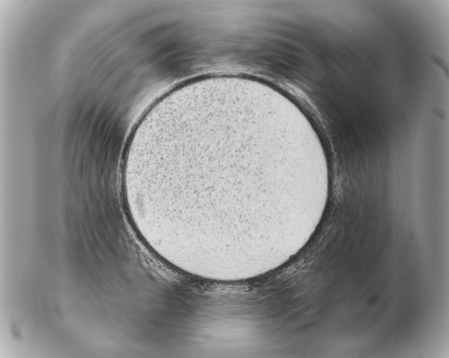 X0000102401183200808291439