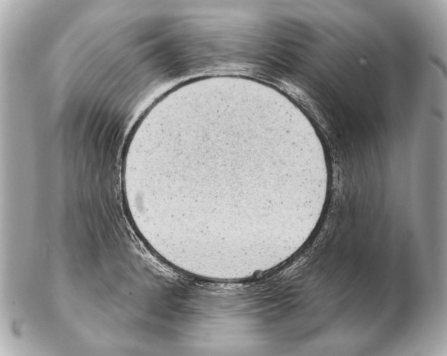 X0000102401184200808291439