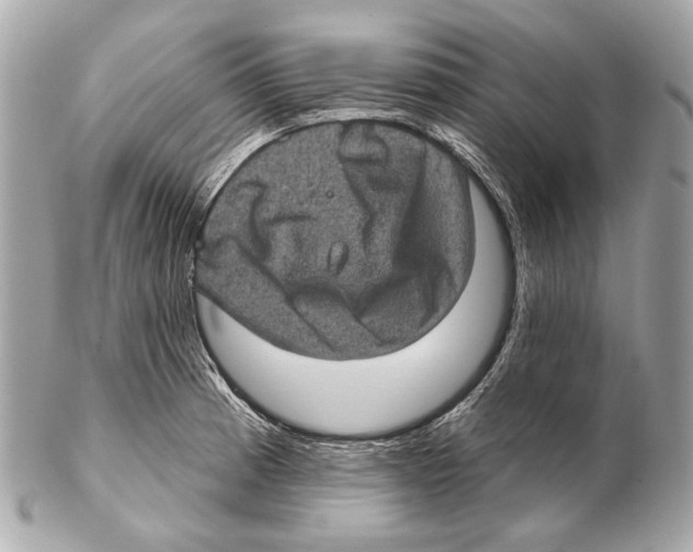 X0000102401185200808291439