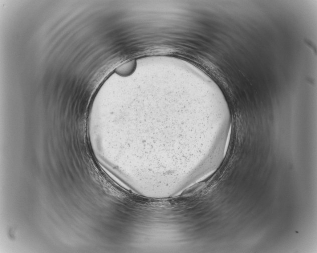X0000102401186200808291438