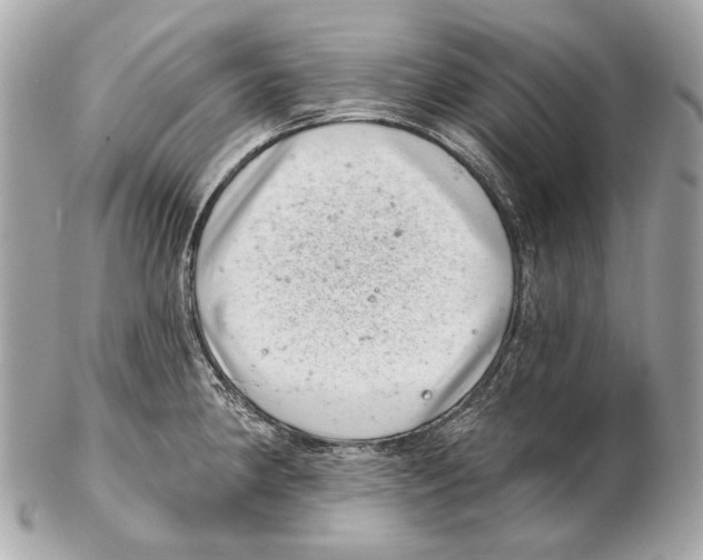 X0000102401190200808291438