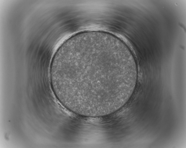 X0000102401191200808291438